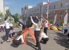 img (7)
